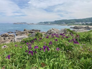 IMG_5016