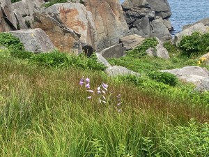 IMG_5020