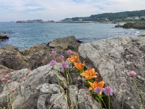 IMG_5022