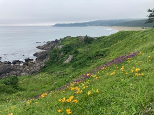 IMG_5079