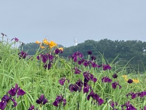 IMG_5087