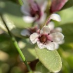 IMG_5166