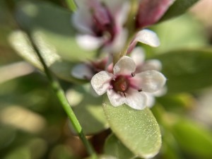 IMG_5166