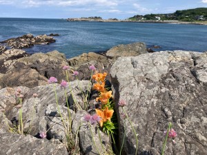 IMG_5195