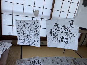 IMG_5228