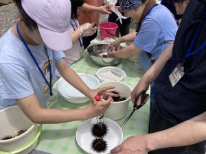 IMG_5260