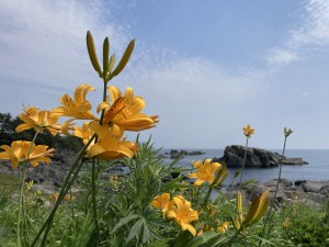 IMG_5297
