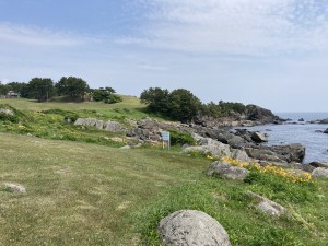 IMG_5299