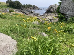 IMG_5300