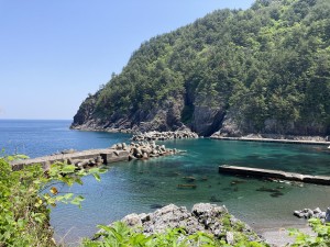 IMG_5325