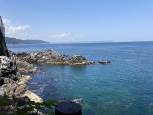 IMG_5328