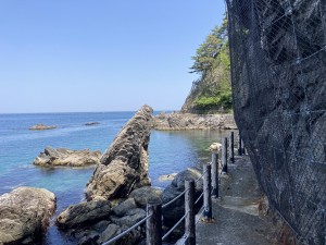 IMG_5348
