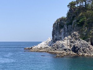 IMG_5349
