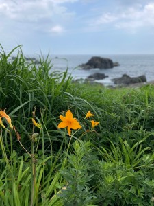 IMG_3871