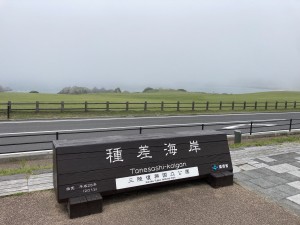 IMG_5572