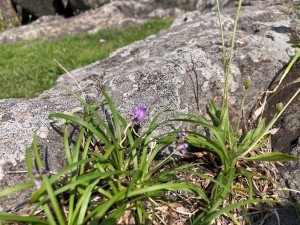 IMG_5584