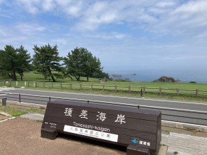IMG_5875