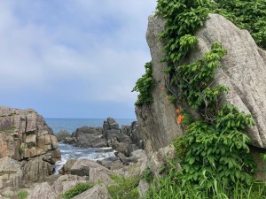 IMG_6133
