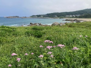 IMG_6151