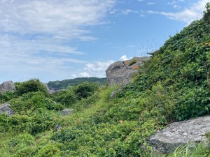IMG_6744