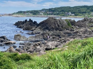 IMG_7121