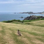 IMG_7538