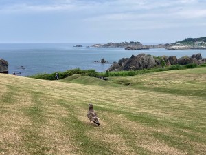 IMG_7538