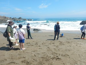 DSCN0743