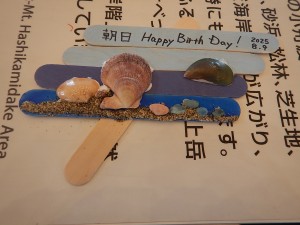 DSCN0803