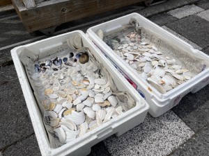 IMG_4588