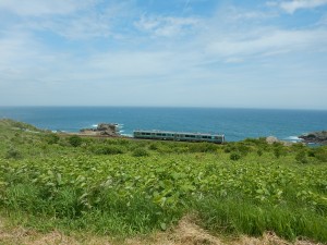 DSCN1426