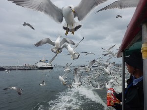 DSCN1486